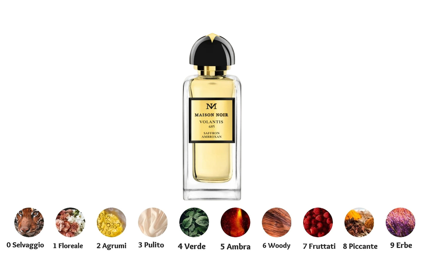 Maison Noir Volantis 685 Eau de Parfum | RossoLacca