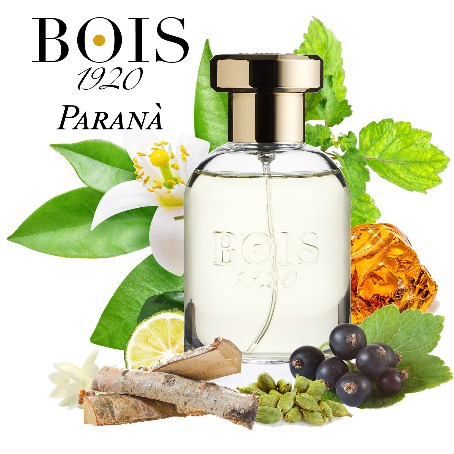 BOIS 1920 Paranà Eau de Parfum Unisex 50  ml | RossoLacca