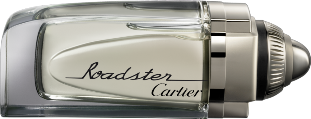 Cartier Roadster Eau De Toilette 100 ml - RossoLaccaStore