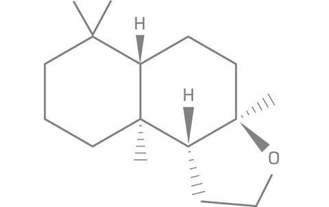 Escentric Molecules Molecule 02 100 ml - RossoLaccaStore