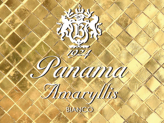 Panama Amaryllis Bianco Eau De Parfum 100 ml Gift Set - RossoLaccaStore