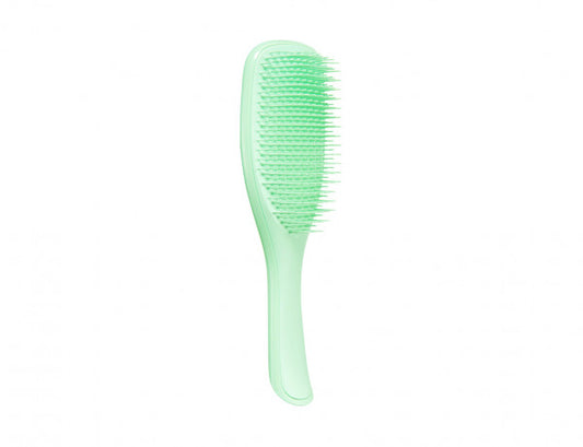 Spazzola Districante per i Capelli indolore Tangle Teezer Wet Detangling verde menta